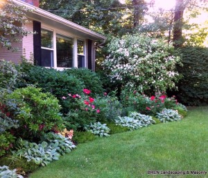 Gorgeous, Simple Front Garden