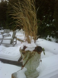 Taintor Patio Pot in winter