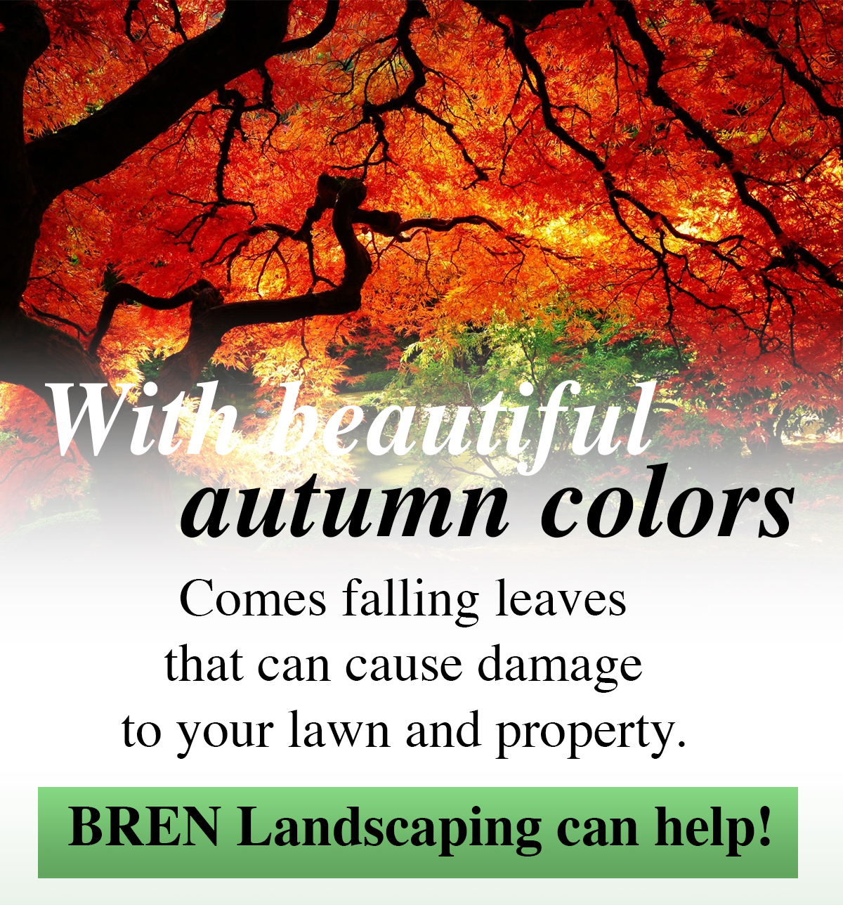 Fall Cleanup