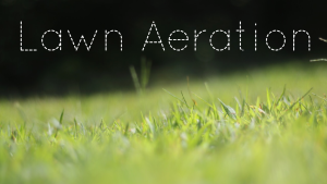 Lawn Aeration lawn care service for connecticut