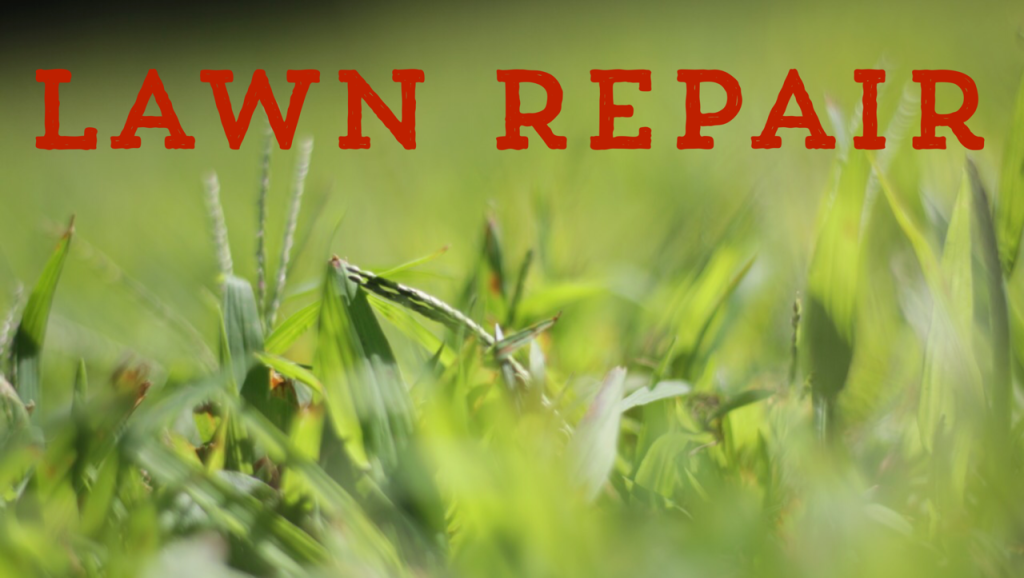 Lawn Repair
