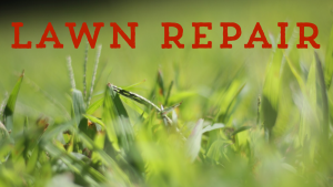 Lawn Repair lawn care service for connecticut