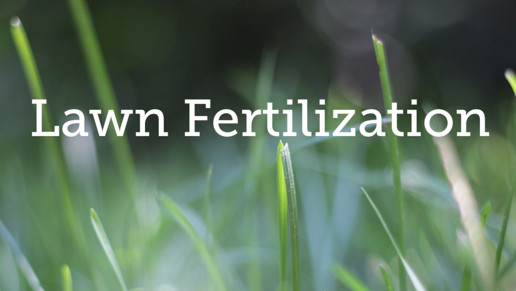 Lawn Fertilization Service serving Fairfield, Westport, Weston, New Canaan and all of Fairfield County, Connecticut.