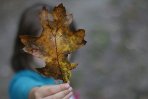 leaf removal