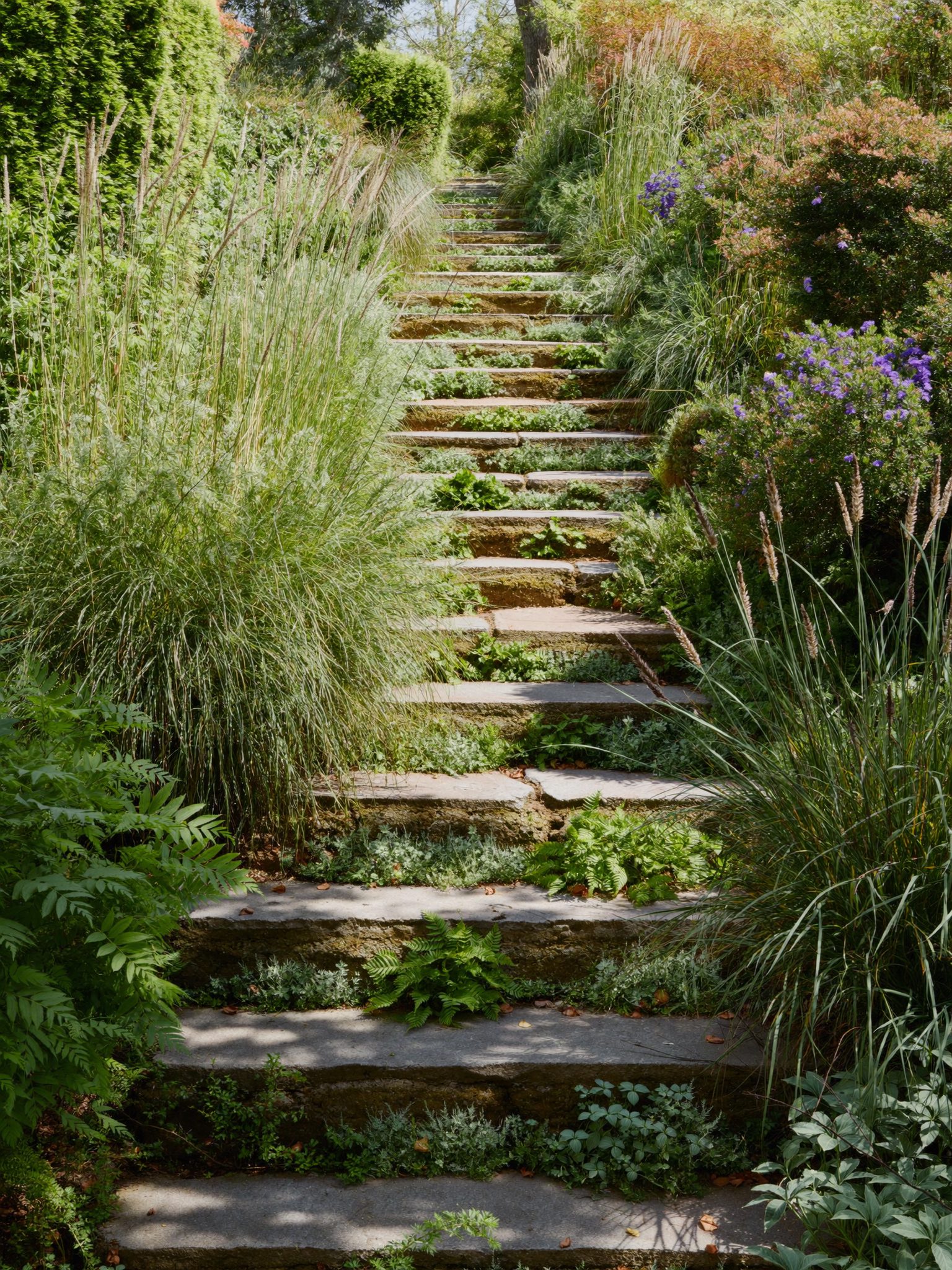 Stone steps through a planted hillside