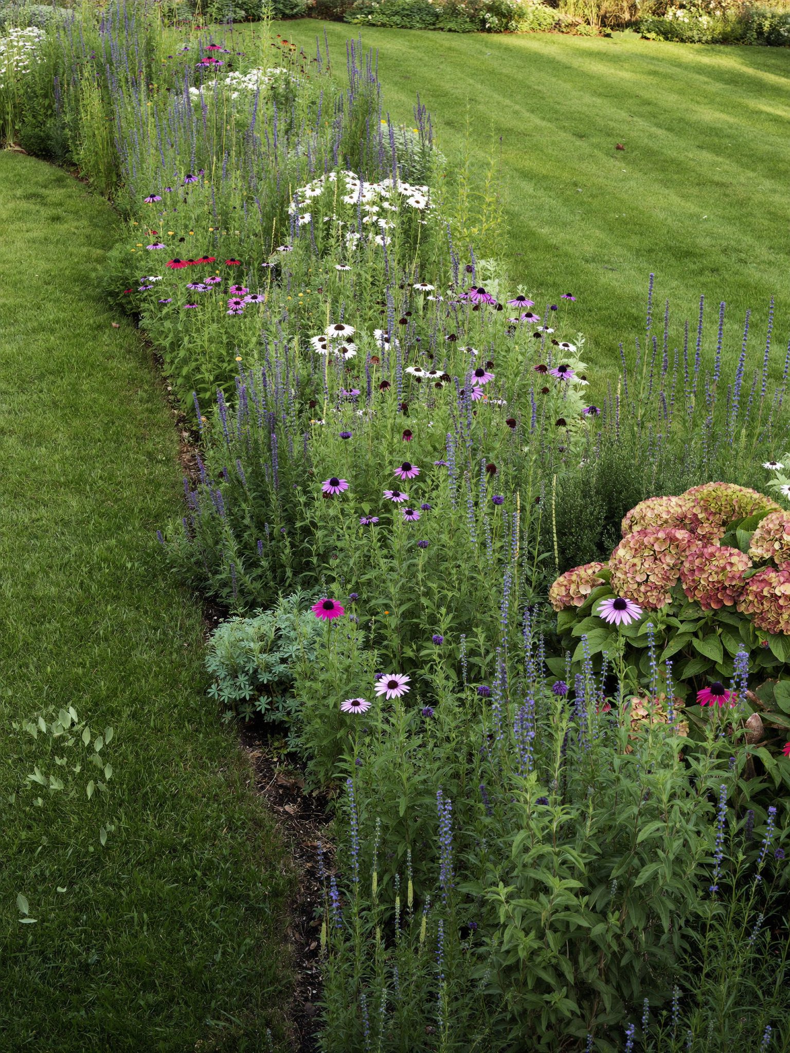 Layered perennial garden bed in bloom