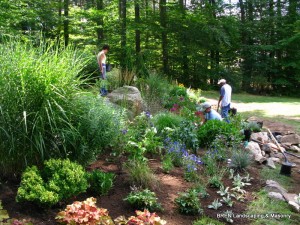 Planting beauty