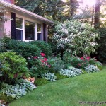 Gorgeous, Simple Front Garden