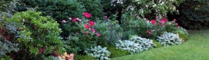 cropped-Fairfield_Front-Garden-in-Bloom.jpg