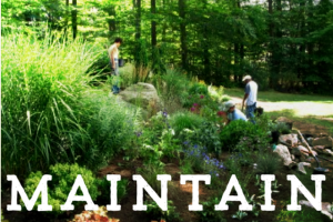 Maintenance – Mowing, Pruning, Cleanups