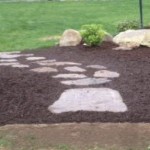 Natural stone path through garden