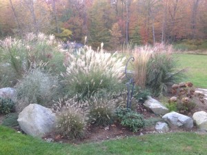 Garden in autumn