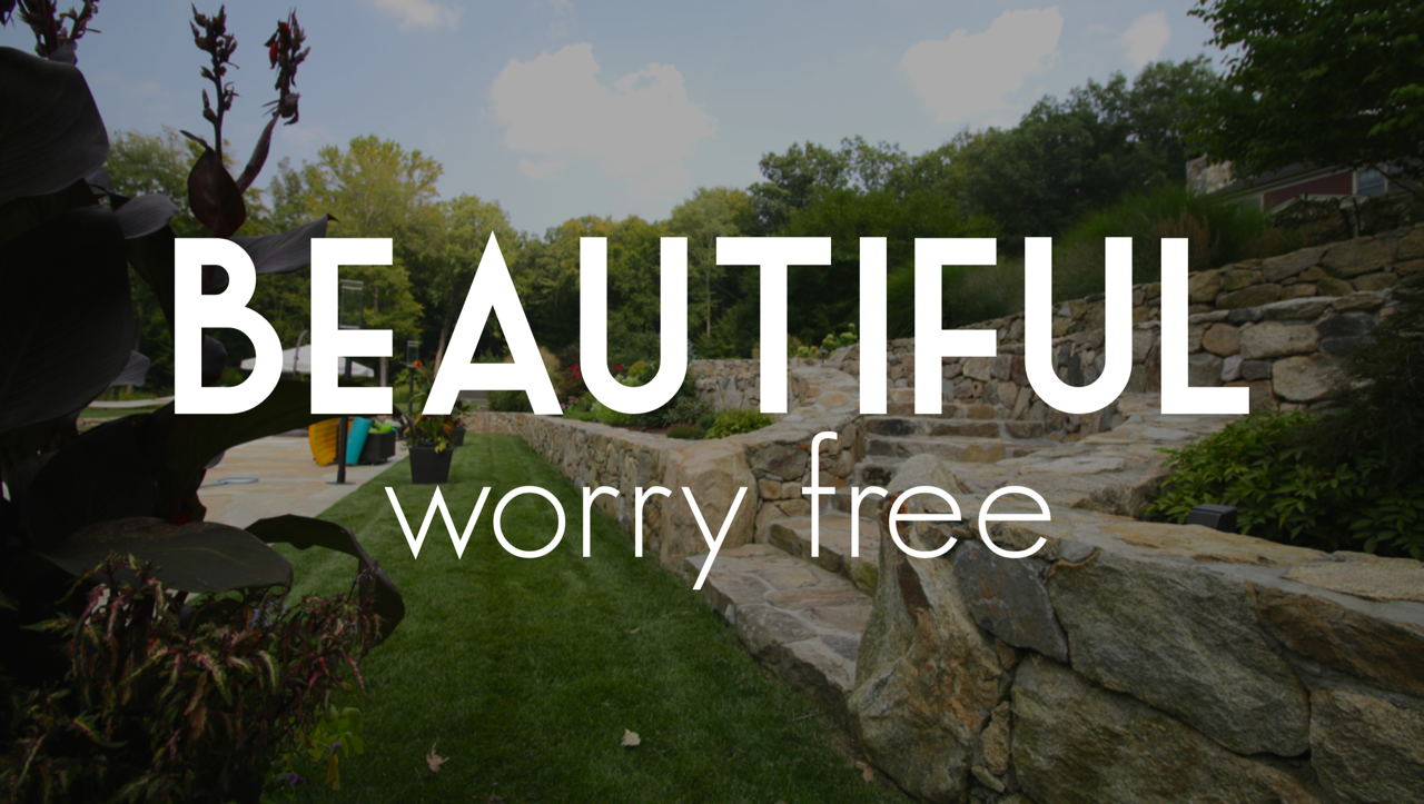 Beautiful worry free landscaping