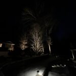 Giants in the Night